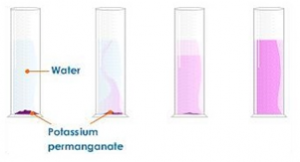 1:03 understand how the results of experiments involving the dilution of coloured solutions and diffusion of gases can be explained img_566c7cd83fd4d