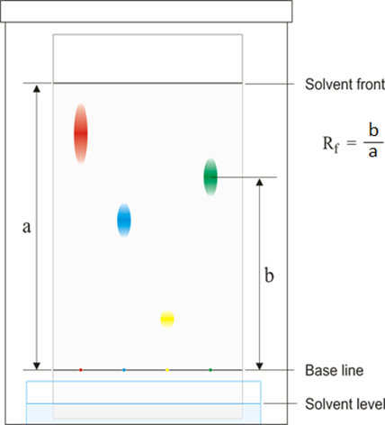 chromatography calculation solvent tlc igcse tutormyself equation baseline edexcel generally calculated homeworklib