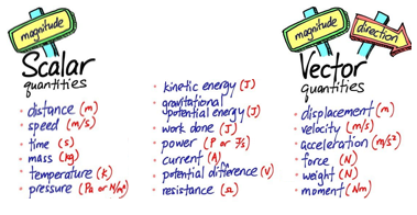 vector and scalar